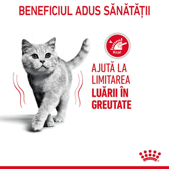 Royal Canin Light Weight Care – Hrană Umedă Premium pentru Controlul Greutății la Pisici, în Gelatină, 85 g